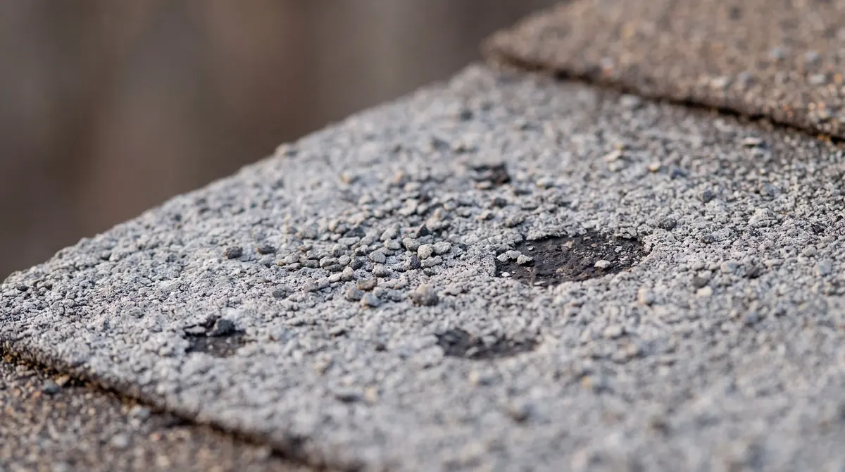 Illustration: close-up of a dry, faded asphalt shingle with loose granules